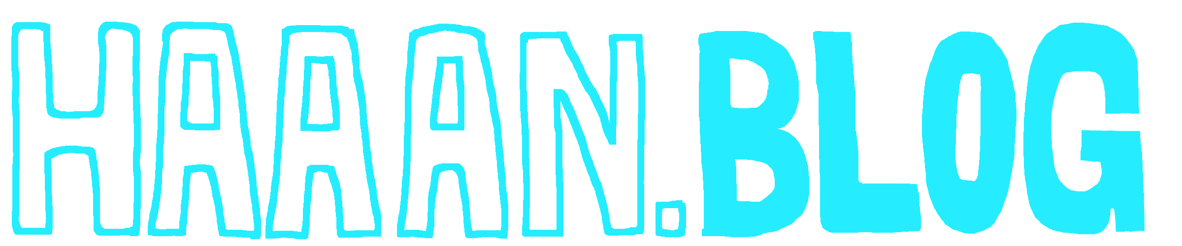 HAAAN BLOG